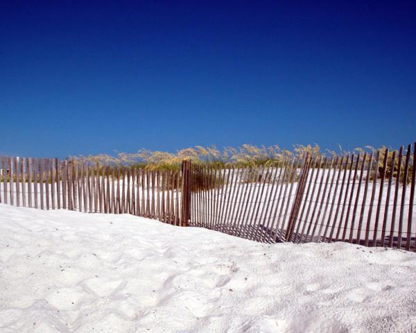 Gulf Shores şehrinden güzel bir manzara