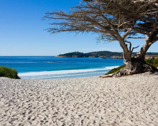 A beautiful view of Carmel by the Sea