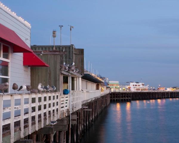 A beautiful view of Santa Cruz.