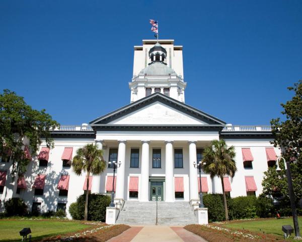 A beautiful view of Tallahassee.