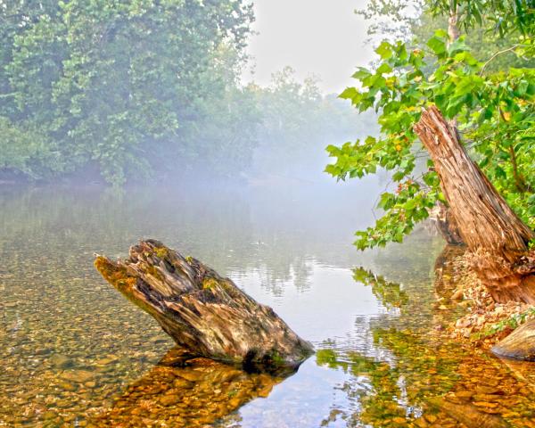 Una bella vista de Branson