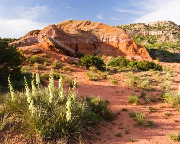 A beautiful view of Amarillo