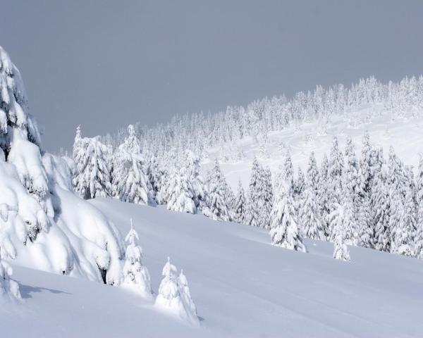 A beautiful view of Kopaonik.