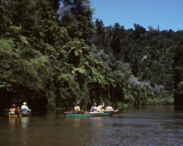 منظر جميل في Taumarunui