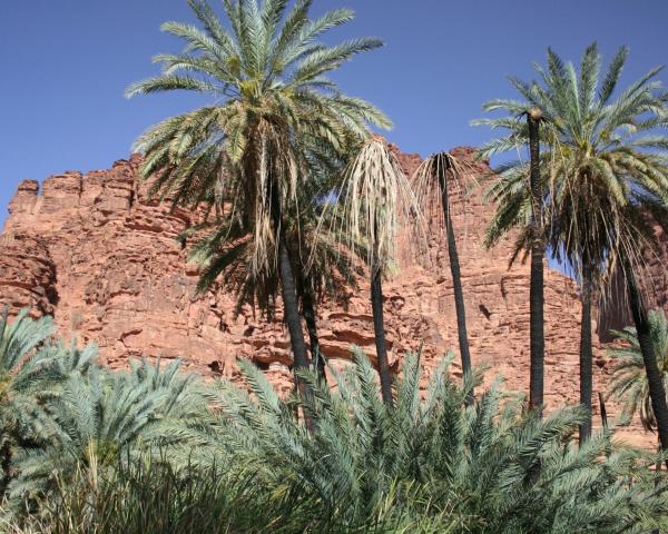 Una bella vista de Al Ula