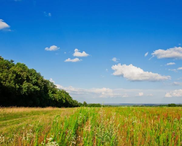 Piękny widok miasta York