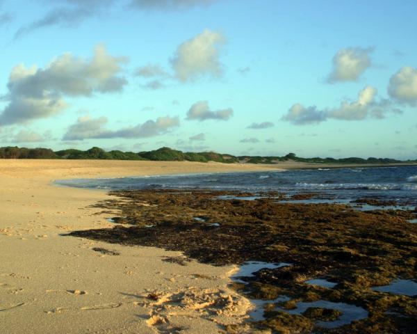 A beautiful view of Kahuku.