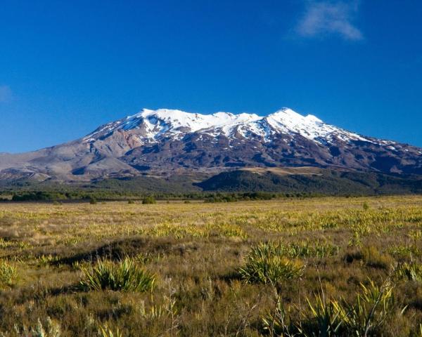 A beautiful view of National Park.