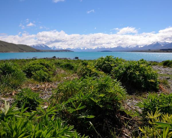 Una bella vista de Lake Tekapo