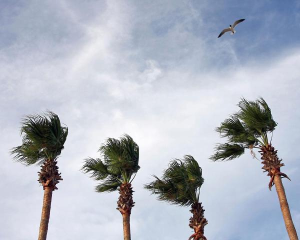 Una bella vista de McAllen