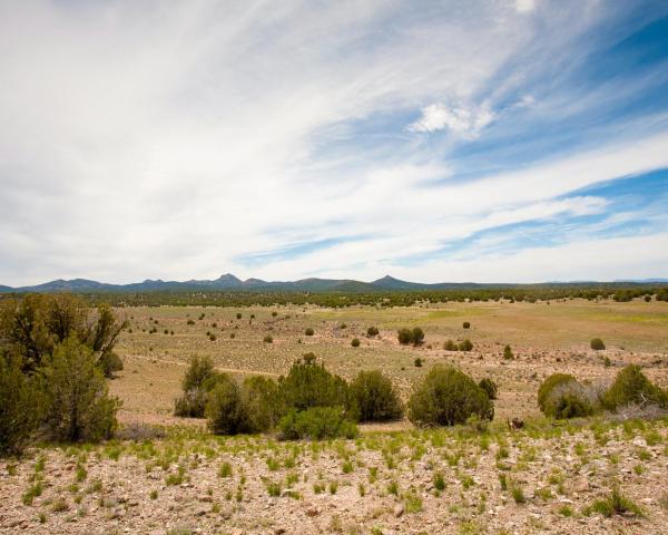 A beautiful view of Chino Valley