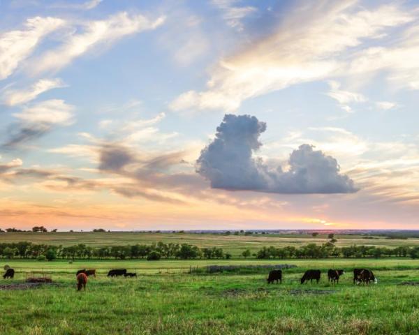 Una bellissima vista di Gainesville