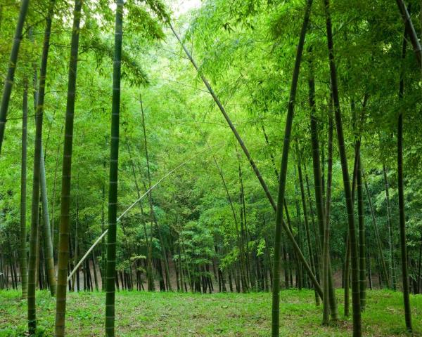 Ein schöner Blick auf Zhongshan