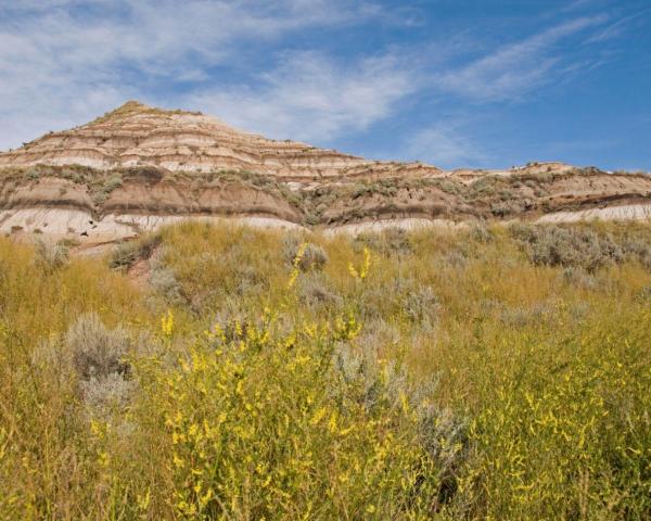 Una bonita vista de Drumheller