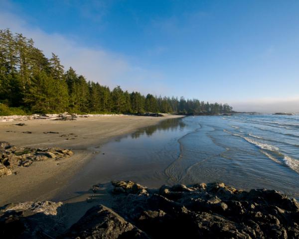 Vedere frumoasă la Tofino