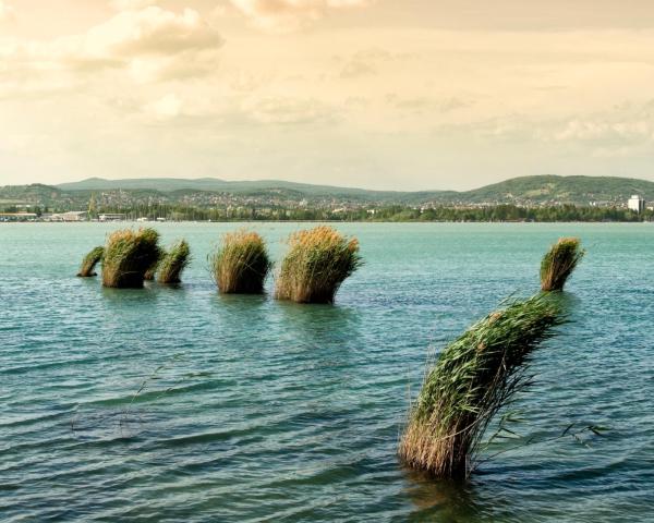 A beautiful view of Balatongyorok