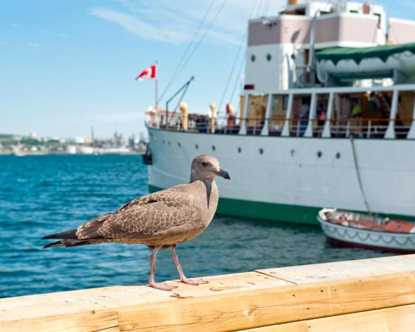 A beautiful view of Sidney.