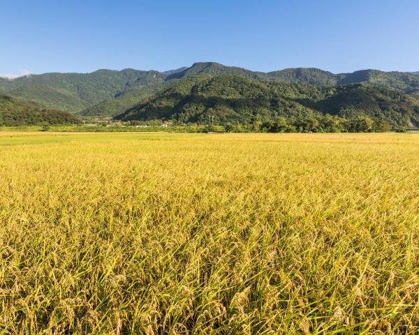 Pemandangan indah Jian