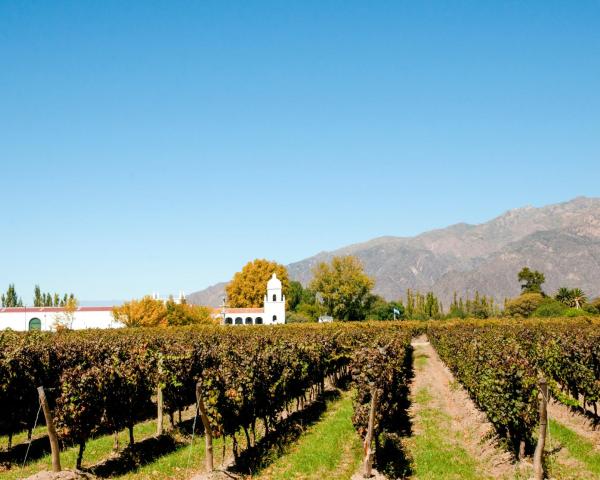 Cafayate şehrinden güzel bir manzara