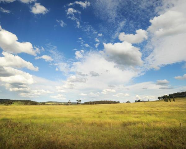 A beautiful view of Pieterburen.