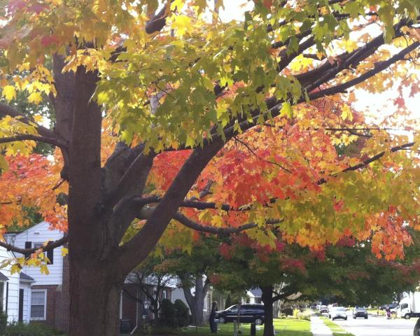 Vista espectacular de Ishpeming