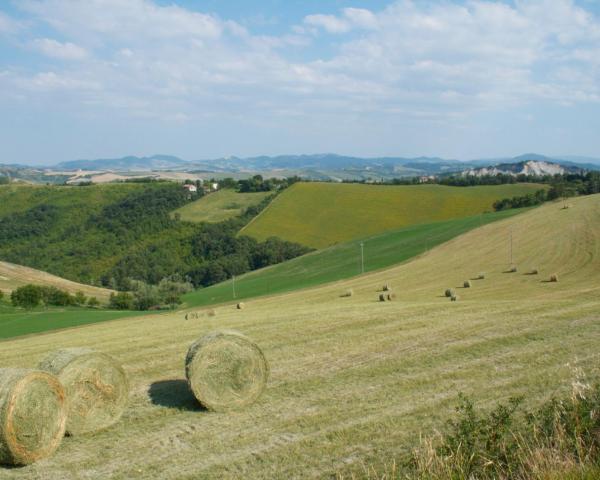 Una bellissima vista di Persiceto