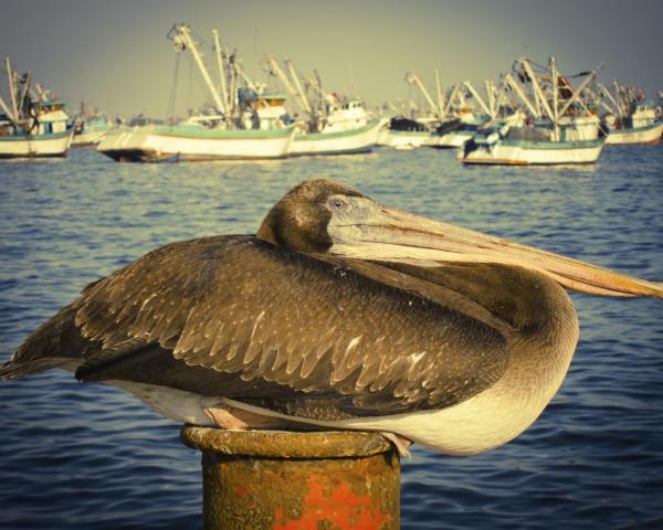 A beautiful view of Chimbote