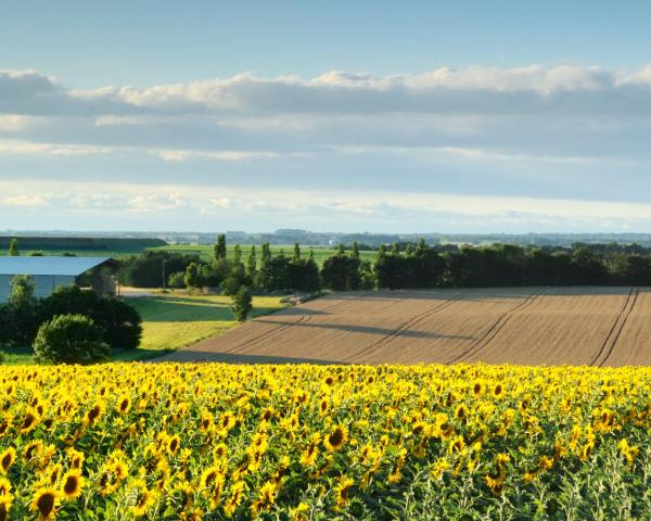 Vista espectacular de Lussac