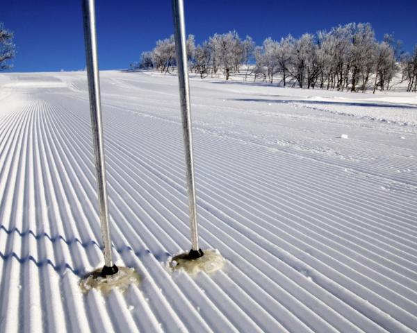 Čudovit pogled na mesto Vemdalen