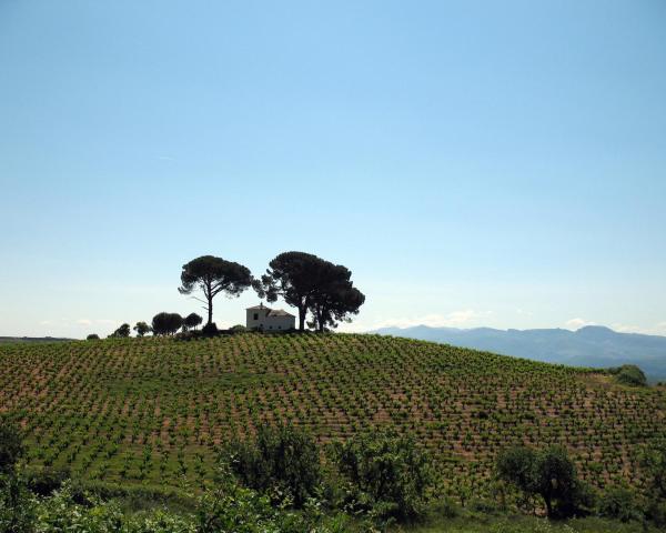 A beautiful view of Arnedo.