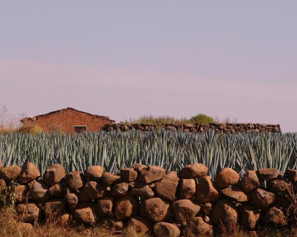 Krásný pohled na město Santiago de Tequila