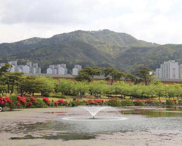 A beautiful view of Gimhae