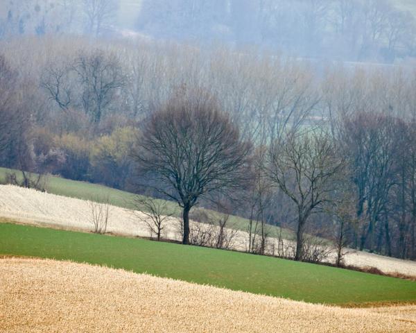 A beautiful view of Gulpen.