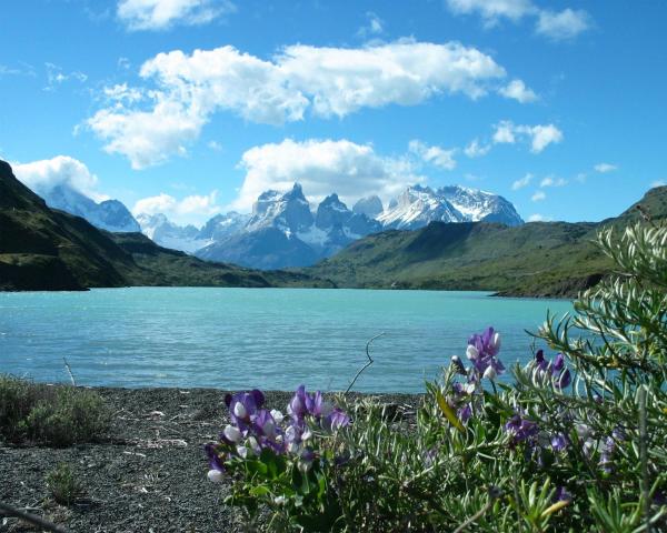 Predivan pogled na grad 'Torres del Paine' 