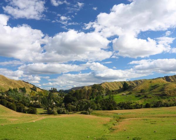 Pemandangan indah Taihape