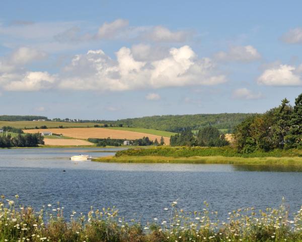 A beautiful view of Cornwall.