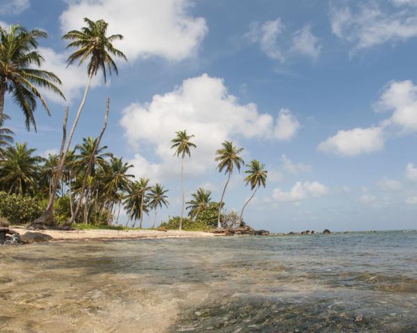 A beautiful view of Little Corn Island.