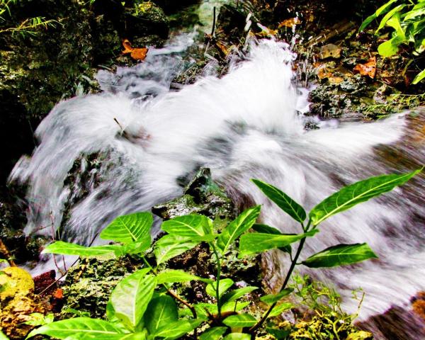 Prelep pogled na grad Poerwakerta