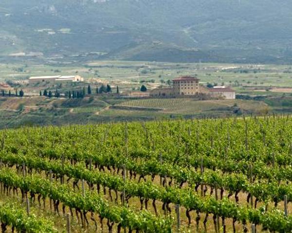 A beautiful view of Requena.