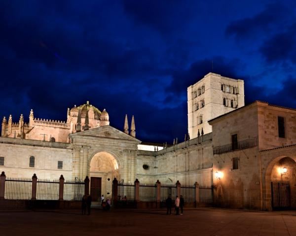 Vue imprenable sur Zamora 