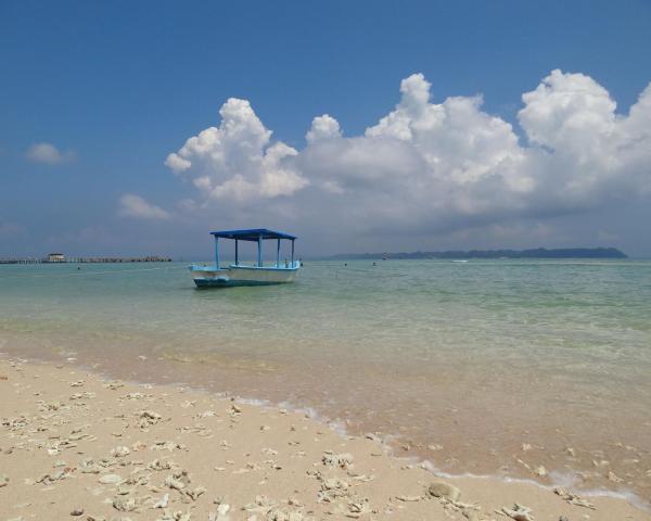 A beautiful view of Neil Island.