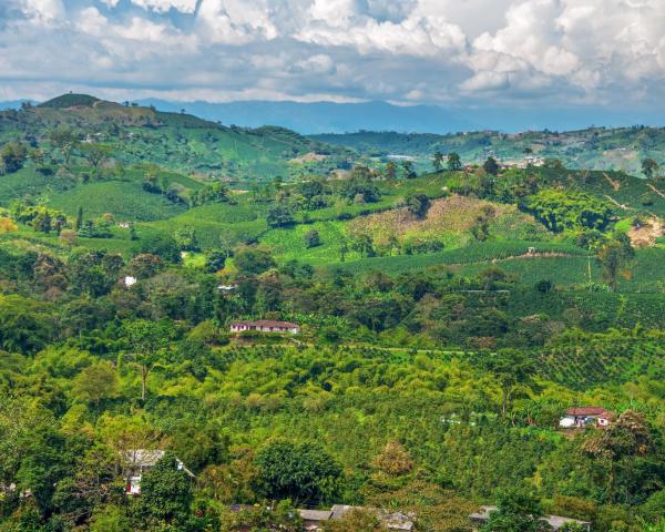 A beautiful view of La Tebaida