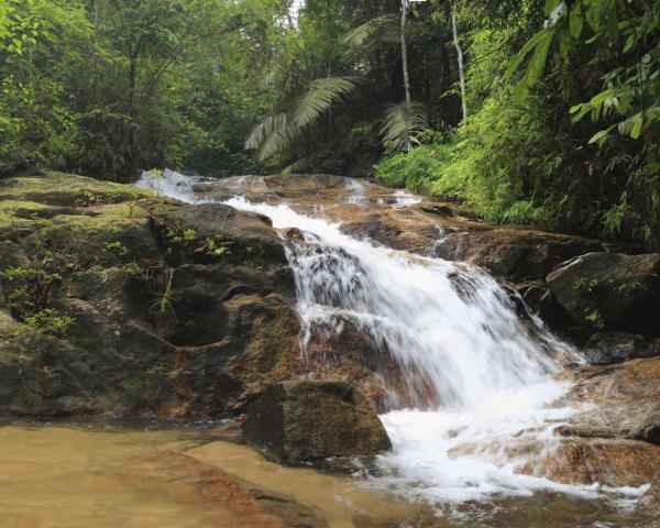 Magandang view ng Kluang