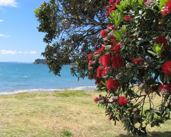 Uma bela vista de Kaitaia