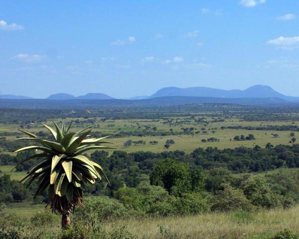 A beautiful view of Ramotswa.