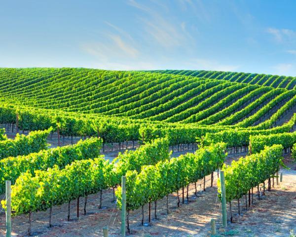 Cheap Flights to Sonoma from $36