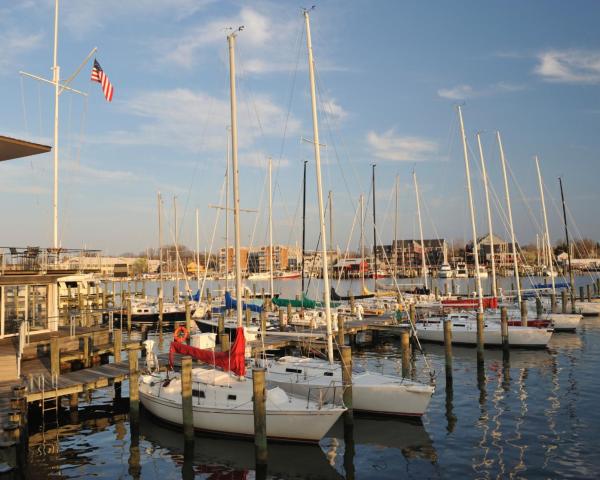 A beautiful view of Annapolis.