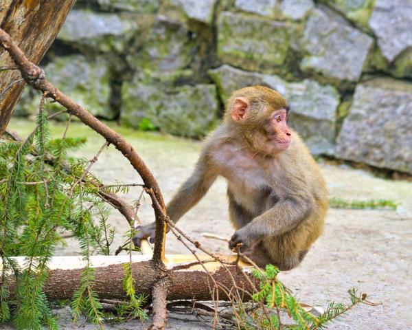 A beautiful view of Oita