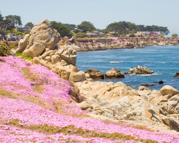 A beautiful view of Pacific Grove