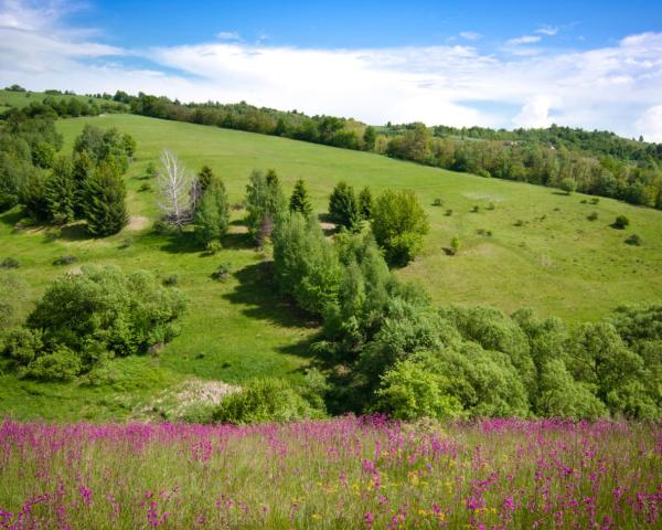 A beautiful view of Michalovce.